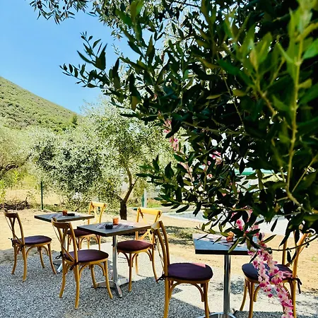 Casa Teresi Thassos Lodge Prínos