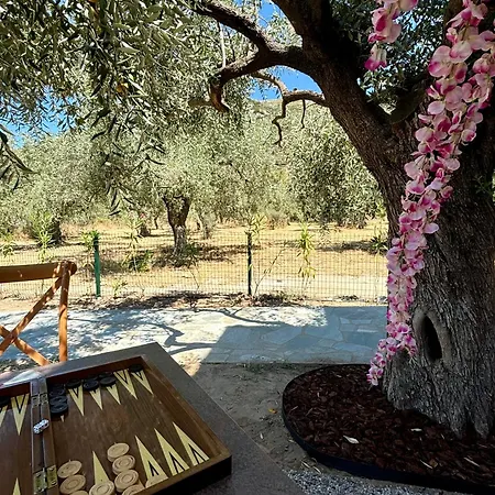 Lodge Casa Teresi Thassos Prínos