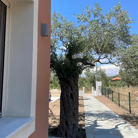 Casa Teresi Thassos Lodge