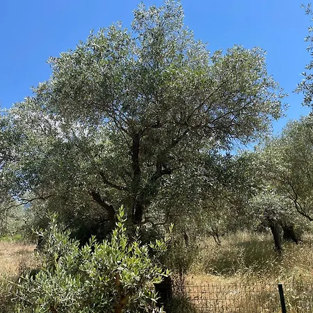 Casa Teresi Thassos Gerendaház