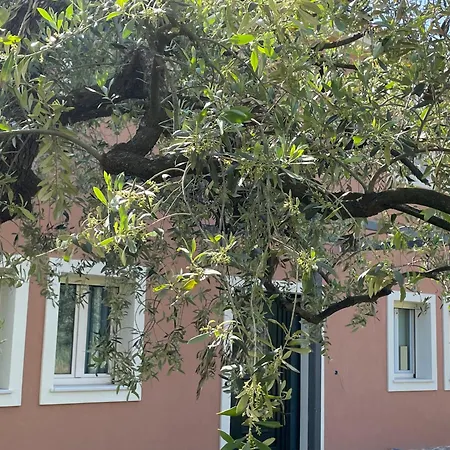 Casa Teresi Thassos Gerendaház