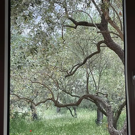 Casa Teresi Thassos * Πρίνος
