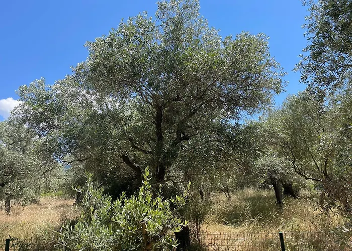 Casa Teresi Thassos Gerendaház