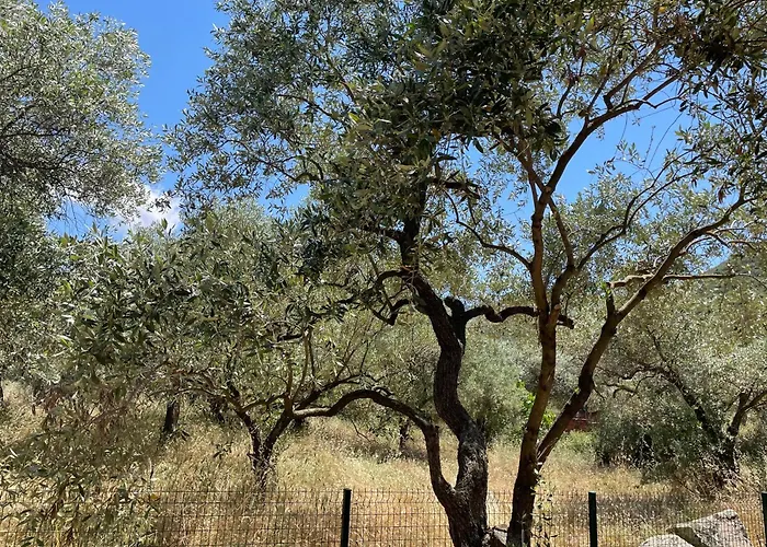 Casa Teresi Thassos Gerendaház *