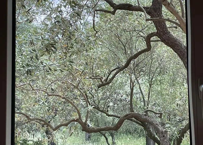 Casa Teresi Thassos * Prínosz